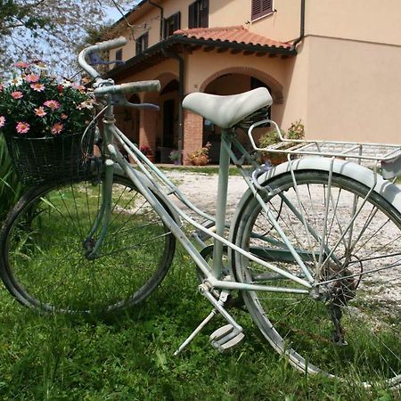 Agriturismo Diciocco Villa Venturina Terme Exterior foto