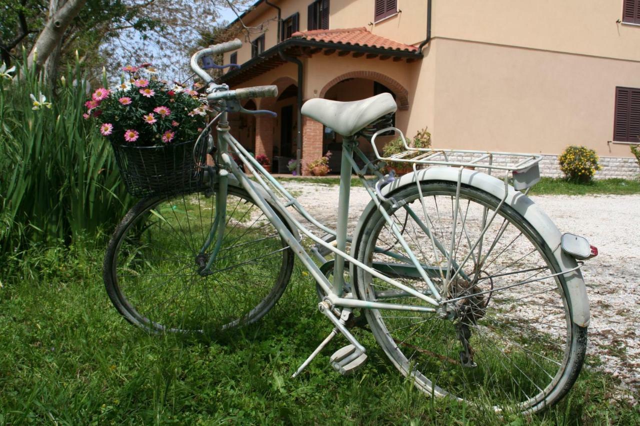 Agriturismo Diciocco Villa Venturina Terme Exterior foto