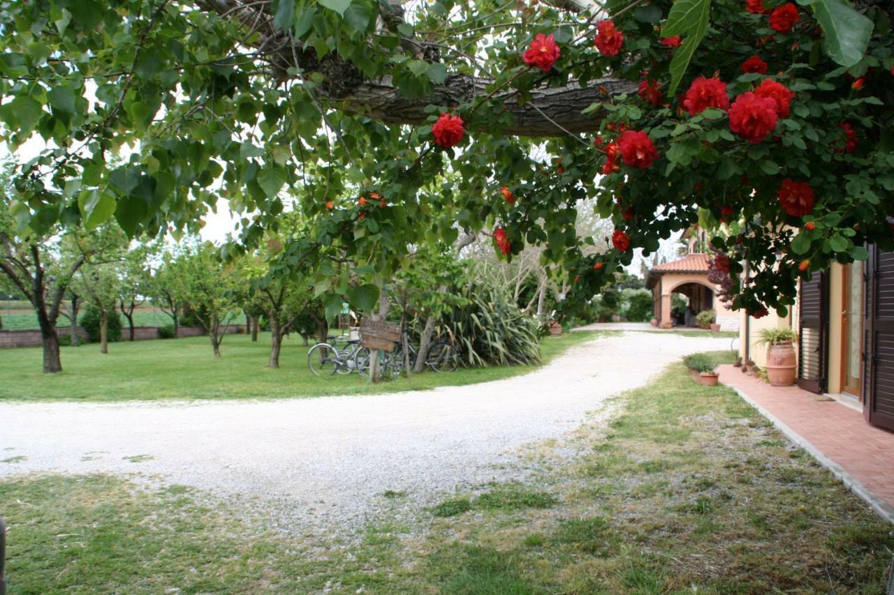 Agriturismo Diciocco Villa Venturina Terme Exterior foto